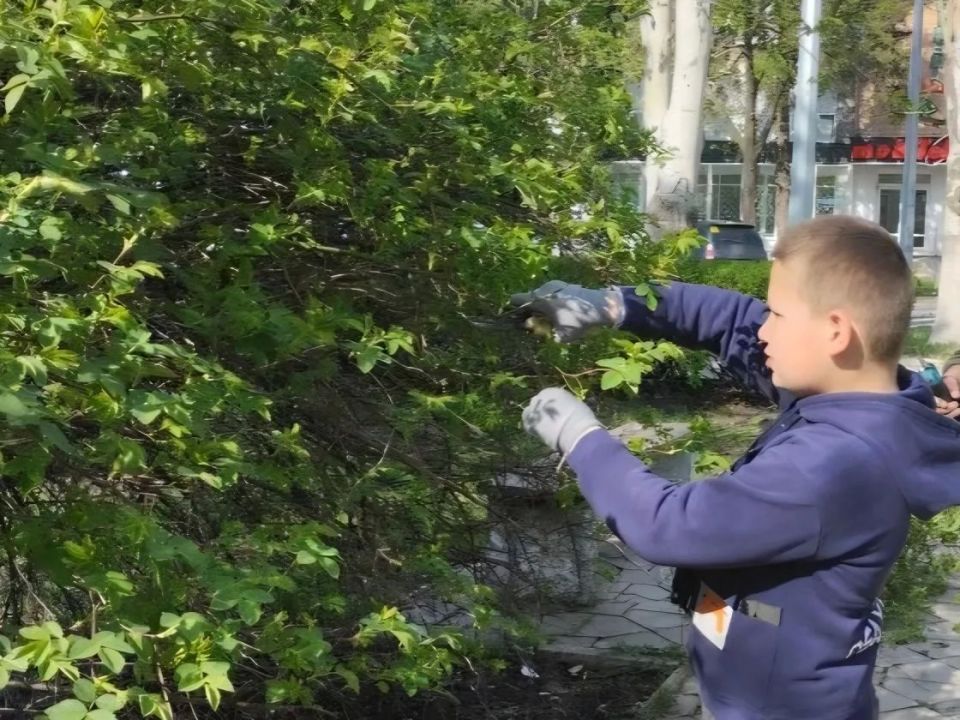 В Шахтерске навели порядок у памятника воинам-афганцам В Шахтерске навели порядок у памятника воинам-афганцам