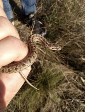 ������� �� ������ �� ���������� ��� ������ �������� ���������� � ����� ������ �� ���