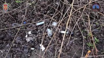 �������� �� ������ ������� � ��������������: � ��� ������������� 80 ���������� ���� �� ������