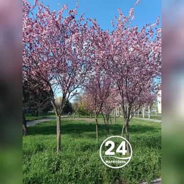 � ������ �����, ���������!