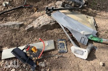 ����� 30 ������ ������������� � ���� ��� ��� �� �����