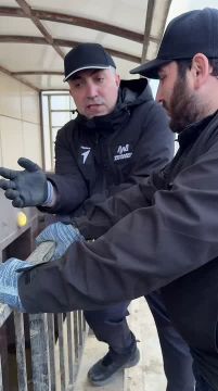 ����� �����������: ������ �������� � �� ���� ������ ����, � ���������� �����