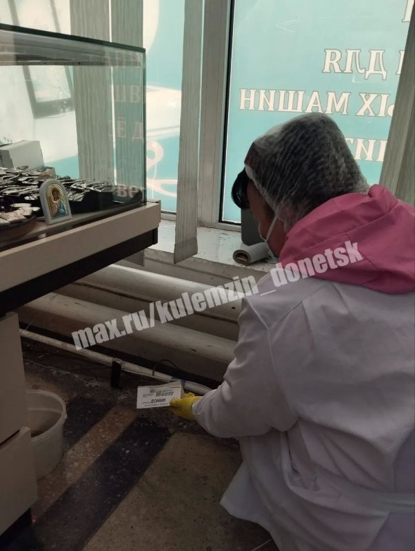В магазинах и крупных торговых центрах регулярно проводятся профилактические мероприятия для предупреждения появления и распространения грызунов В магазинах и крупных торговых центрах регулярно проводятся профилактические мероприятия для предупреждения появления и распространения грызунов