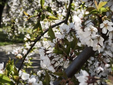 20 ������ � ���������� ���������� ����������, ���� ��� ������������ �������, ����� ��������� �����