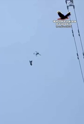 ���-�� �� ��������� ���: ����� �������� ����, ��������� ��� �� �������