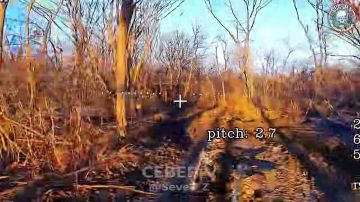 ������ �� ��������� ��� �������� ����� ���