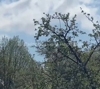 ������ �������: 20 ������ 2026. ���������������� �������: ����� �� ���������� � ��������������� ���������