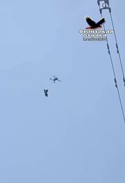 ���-�� �� ��������� ���: ����� �������� ����, ��������� ��� �� �������