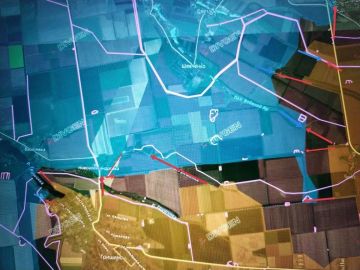 ���� �������: ����������� �����������. ������������� �������