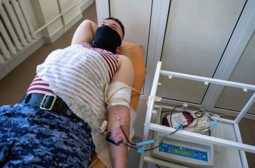 ������������ ��� ����� 90 ������ ����� � ������ 2026 ����