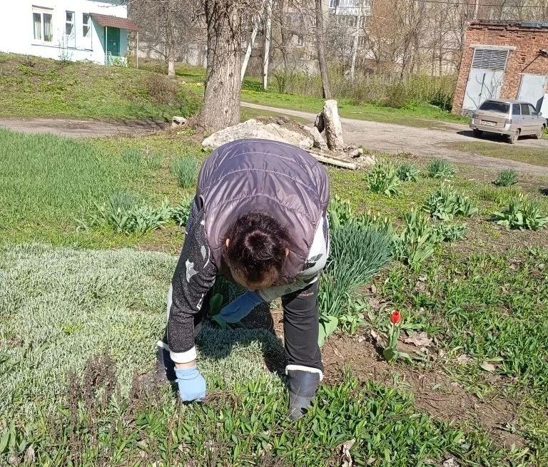 В рамках мероприятий по благоустройству в весенний период коллективом ГБУ ДНР «Городская поликлиника г.Макеевки» по бул. 8 Сентября проведены работы по благоустройству и наведению санитарного порядка на прилегающей территории В рамках мероприятий по благоустройству в весенний период коллективом ГБУ ДНР «Городская поликлиника г.Макеевки» по бул. 8 Сентября проведены работы по благоустройству и наведению санитарного порядка на прилегающей территории