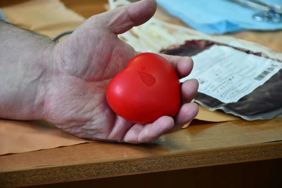 ДОНОРСТВО ВО ИМЯ ЖИЗНИ: ЖИТЕЛИ ДЕБАЛЬЦЕВО ОТМЕТИЛИ НАЦИОНАЛЬНЫЙ ДЕНЬ ДОНОРА ДОНОРСТВО ВО ИМЯ ЖИЗНИ: ЖИТЕЛИ ДЕБАЛЬЦЕВО ОТМЕТИЛИ НАЦИОНАЛЬНЫЙ ДЕНЬ ДОНОРА