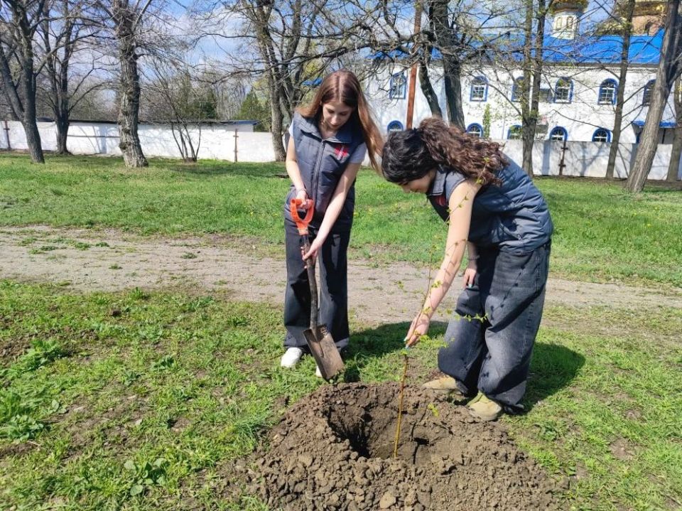 Александр Шатов: Шахтерск присоединился к Международной акции «Сад памяти» Александр Шатов: Шахтерск присоединился к Международной акции «Сад памяти»