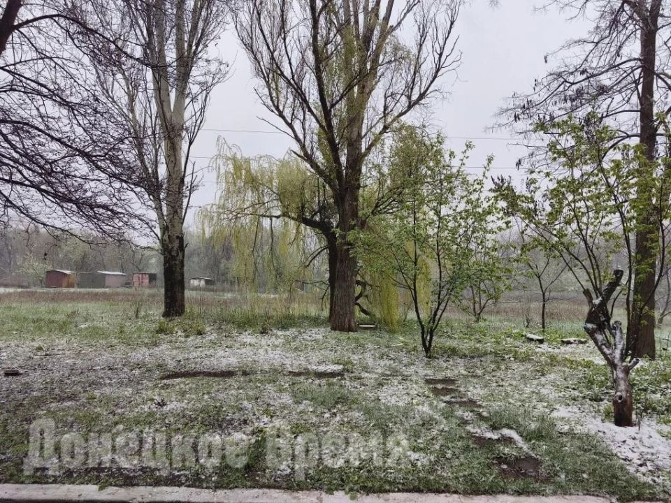 Апрельский сюрприз от погоды: пока в Донецке льет дождь, в Горловке выпал снег Апрельский сюрприз от погоды: пока в Донецке льет дождь, в Горловке выпал снег