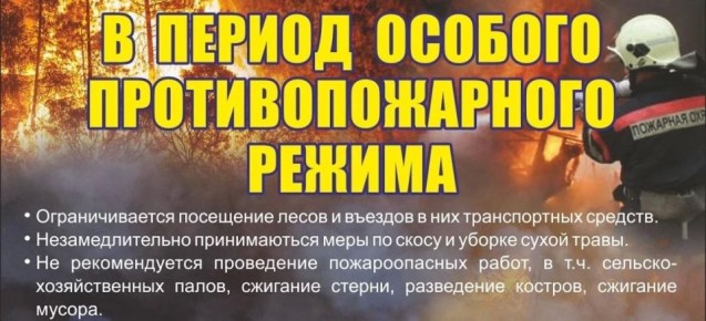 ���� � �������� ���������������� ������