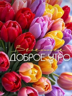 #������_����