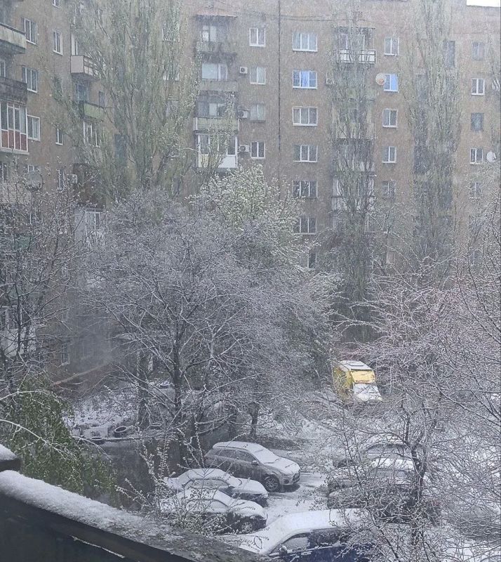 Ого, конец апреля, а природа снова удивляет! В Горловке сегодня зимняя сказка – с самого утра валит снег Ого, конец апреля, а природа снова удивляет! В Горловке сегодня зимняя сказка – с самого утра валит снег