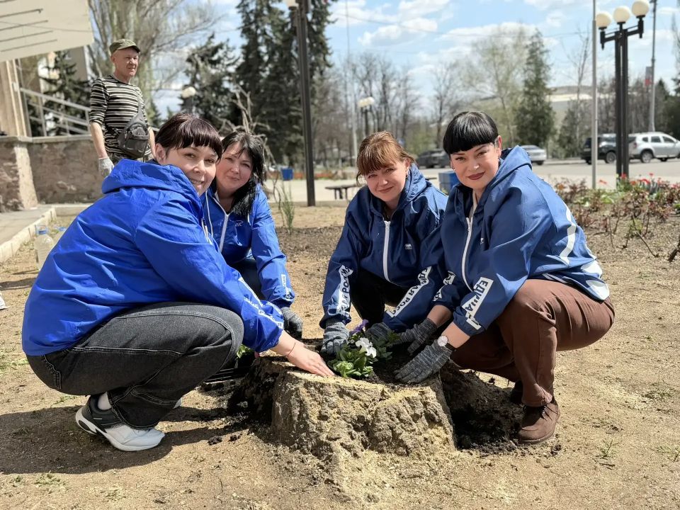 Яркие цветы украсили городские клумбы Тореза Яркие цветы украсили городские клумбы Тореза