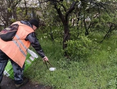 ������������� �������� ���������� ��������������� ���������� ������ �����������