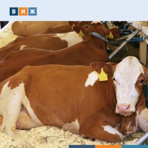 ������ � ������ ��������� � ����� �������� ������