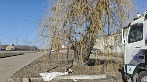 ������������� ������������� �������������� ������ �����������: