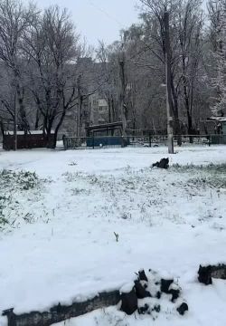 ���� � ������� �������, � �������� ����� ����