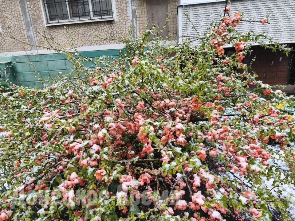 Апрельский сюрприз от погоды: пока в Донецке льет дождь, в Горловке выпал снег Апрельский сюрприз от погоды: пока в Донецке льет дождь, в Горловке выпал снег