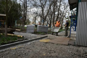 ����� �����: ����� 20 �������� �� ��� ����