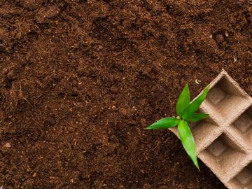 ���� �����: ��� ������ � ������� �������� ������� ��������� ������