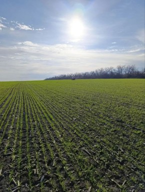 ���� �����. � ������� �� ������ � ������ �������