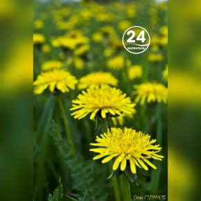 � ������ �����, ���������!