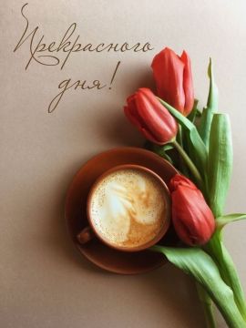 ������ ����!. ����������� ���� �������������