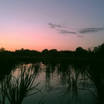 ������ ����, ������� ������ ������������� �������������� ������!