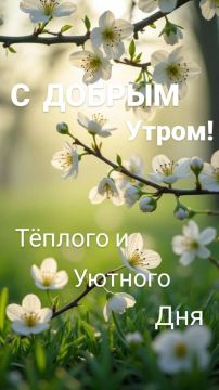 #������_����