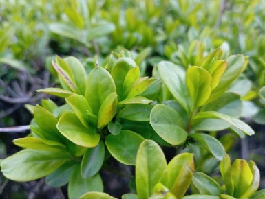 ������������� ��������. 23 ������ � ���������� ���������� ����������, ����� ��� ������������ �������, ���� ������� ��������� �����