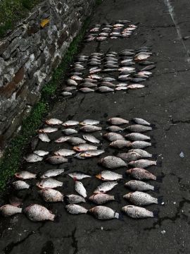 ����������� �������� ���� ����������� ������ ����