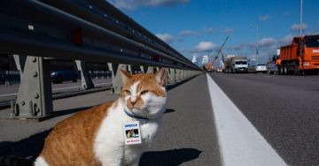 �������� �����, ������ - ���: ���� �� �������� ��������� ������ ��������� ����� �������� ����