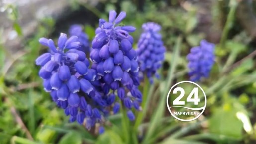 � ������ �����, ���������!