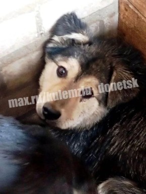 ������� ����������� ��������� � ������ ������ ���� ��������� ��������� ������ � ����� ��������� �������� ���� �� ���������� �����