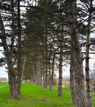 ������� ����������: � ������ �����, ��������� ������ �������������� �������������� ������!