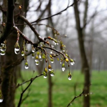 ������������� ��������. 25 ������ � ���������� ������� � ������������, ����� ������� ��������� ������ � ���� ����� � ������� �����, ���� ��� ������������ �������