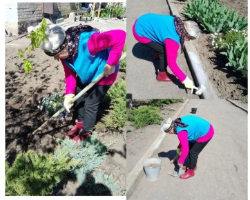 ���������� ���������� ������������ ������� ������� �������������� �� �������������� ����������