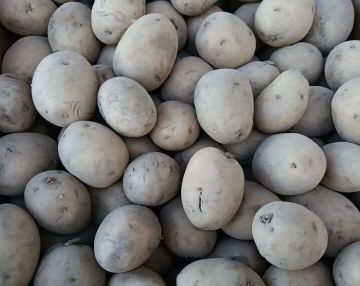 ������������� ������� � ������ ���������