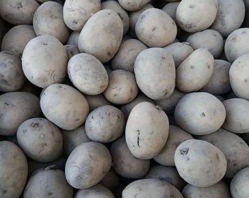 ������������� ������� � ������ ���������