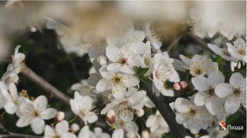 ����� ��������: ����������� ��������� ���!