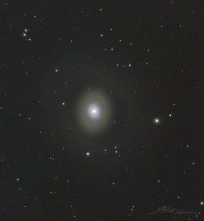 ����� ��������: �������� �� ������� �������� ����