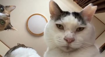 ��� �� ���� ��������� ���, ����� �� ����������� �� ��� ���