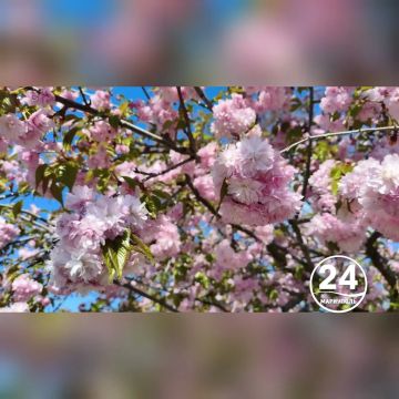 � ������ �����, ���������!