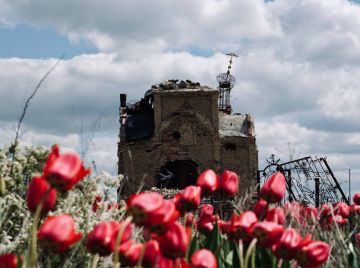 ����� ����������: ��������, ���. ���� ���