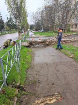 ������������� �������� ���������� ��������������� ���������� ������ �����������